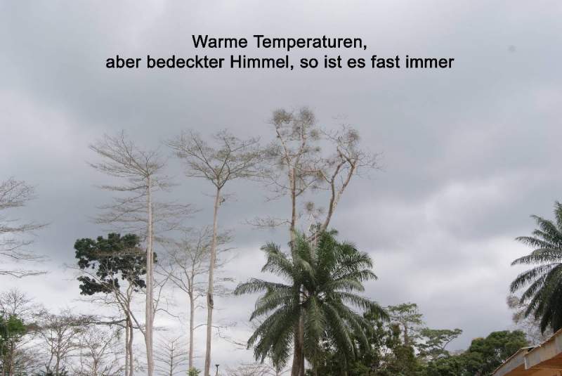 bild37.jpg --- erstellt mit  - www.abbe-felix.de